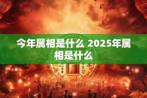 今年属相是什么 2025年属相是什么