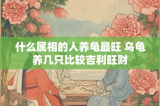什么属相的人养龟最旺 乌龟养几只比较吉利旺财