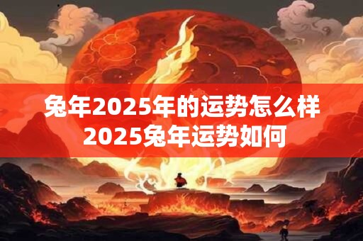 兔年2025年的运势怎么样 2025兔年运势如何 兔年2025年的运势怎么样 2025兔年运势如何