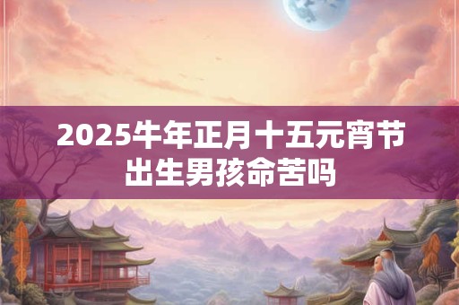 2025牛年正月十五元宵节出生男孩命苦吗