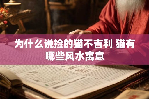 为什么说捡的猫不吉利 猫有哪些风水寓意 为什么说捡的猫不吉利 猫有哪些风水寓意