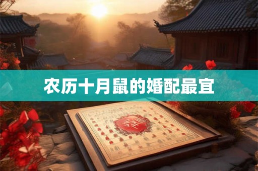农历十月鼠的婚配最宜