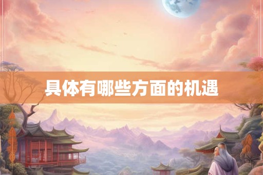 具体有哪些方面的机遇