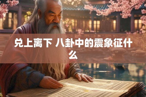 兑上离下 八卦中的震象征什么