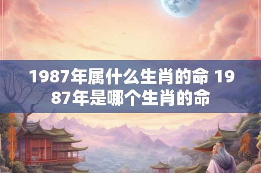 1987年属什么生肖的命 1987年是哪个生肖的命 1987年属什么生肖的命 1987年是哪个生肖的命