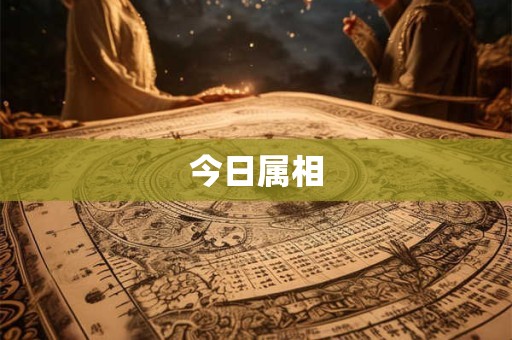 今日属相