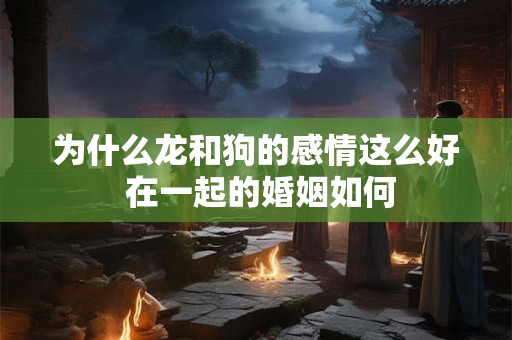 为什么龙和狗的感情这么好 在一起的婚姻如何