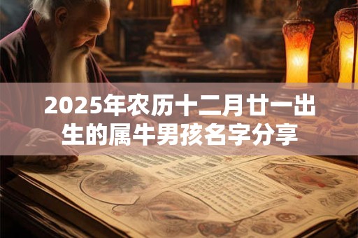 2025年农历十二月廿一出生的属牛男孩名字分享