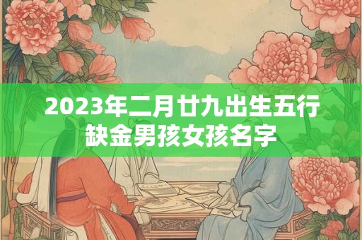 2023年二月廿九出生五行缺金男孩女孩名字