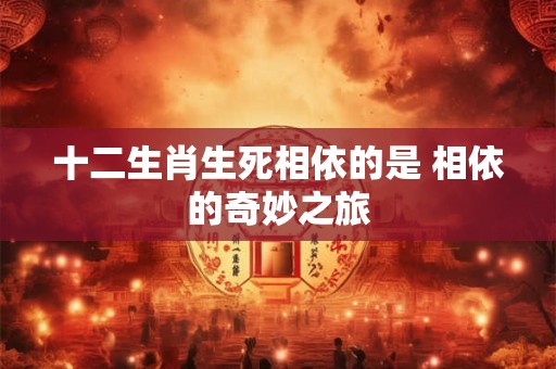 十二生肖生死相依的是 相依的奇妙之旅