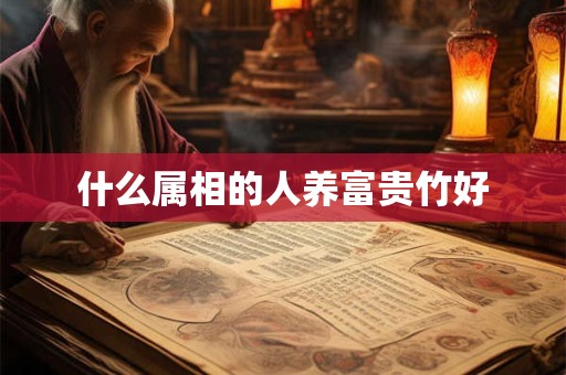 什么属相的人养富贵竹好