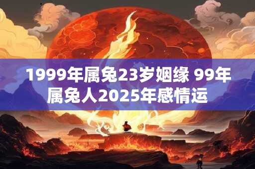 1999年属兔23岁姻缘 99年属兔人2025年感情运