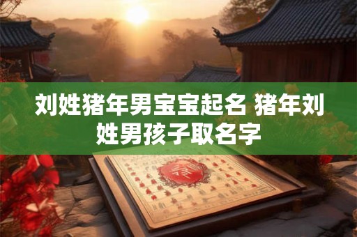 刘姓猪年男宝宝起名 猪年刘姓男孩子取名字