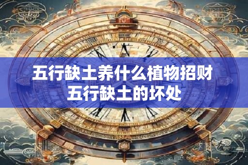 五行缺土养什么植物招财 五行缺土的坏处