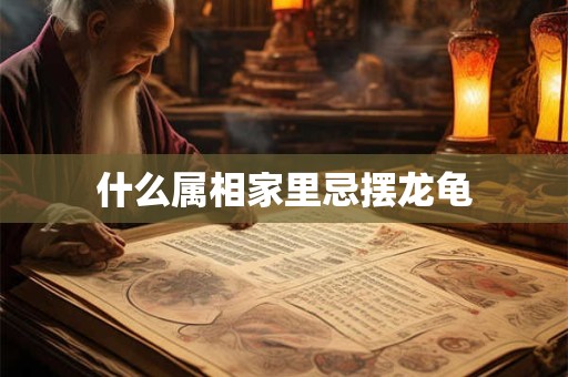 什么属相家里忌摆龙龟