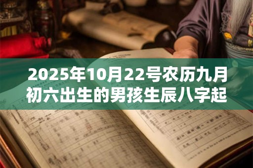 2025年10月22号农历九月初六出生的男孩生辰八字起名