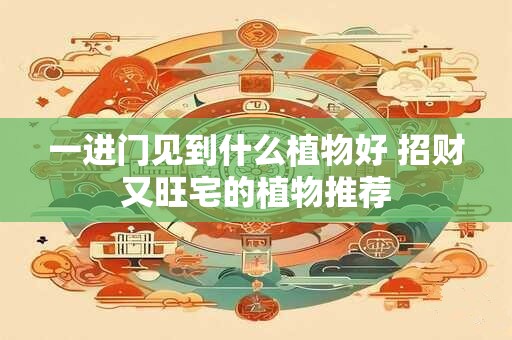 一进门见到什么植物好 招财又旺宅的植物推荐