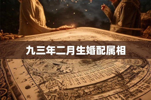 九三年二月生婚配属相