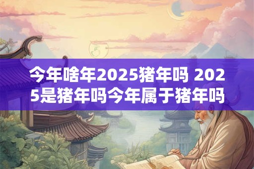 今年啥年2026猪年吗 2026是猪年吗今年属于猪年吗 今年啥年2026猪年吗 2026是猪年吗今年属于猪年吗