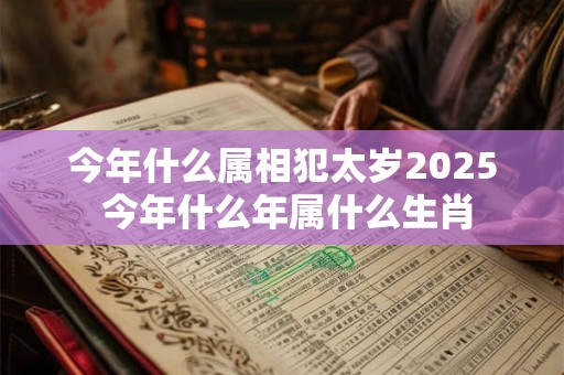 今年什么属相犯太岁2025 今年什么年属什么生肖