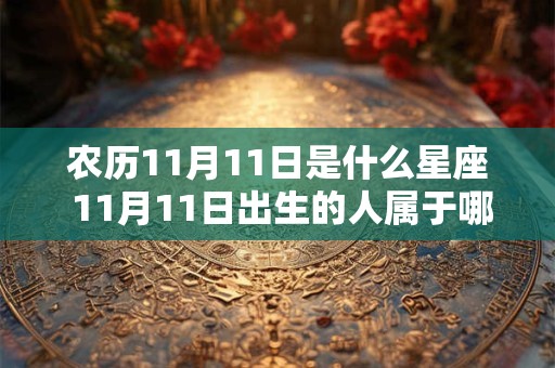农历11月11日是什么星座 11月11日出生的人属于哪个星座