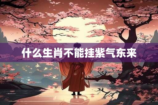 什么生肖不能挂紫气东来