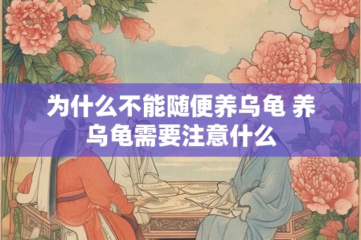 为什么不能随便养乌龟 养乌龟需要注意什么