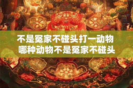 不是冤家不碰头打一动物 哪种动物不是冤家不碰头