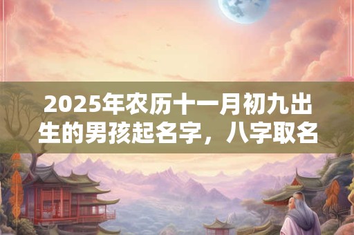 2025年农历十一月初九出生的男孩起名字，八字取名满分大全