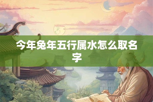 今年兔年五行属水怎么取名字