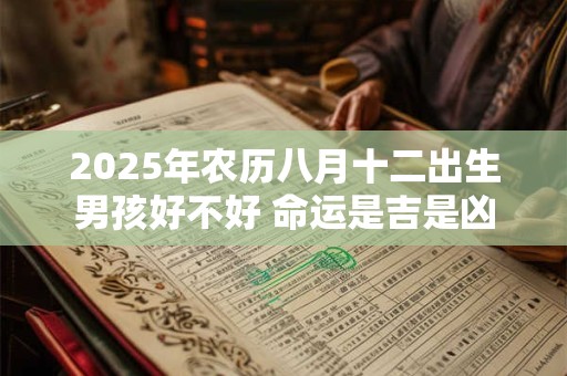 2025年农历八月十二出生男孩好不好 命运是吉是凶