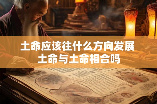 土命应该往什么方向发展 土命与土命相合吗