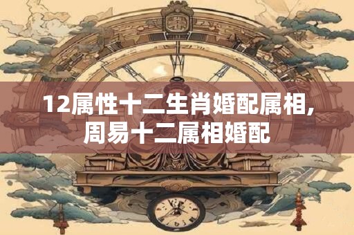 12属性十二生肖婚配属相,周易十二属相婚配