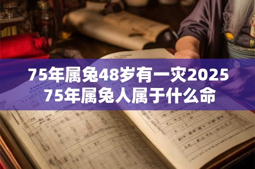 75年属兔48岁有一灾2025 75年属兔人属于什么命 75年属兔48岁有一灾2025 75年属兔人属于什么命