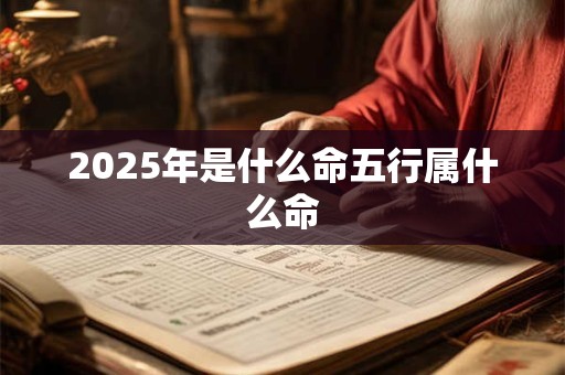 2025年是什么命五行属什么命