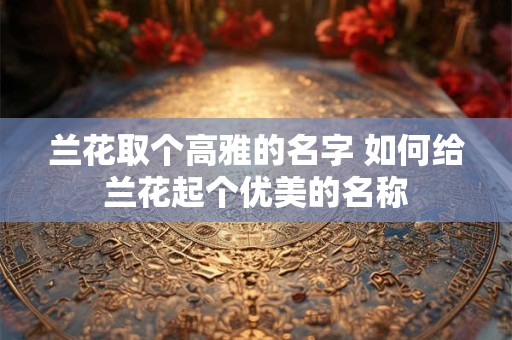 兰花取个高雅的名字 如何给兰花起个优美的名称