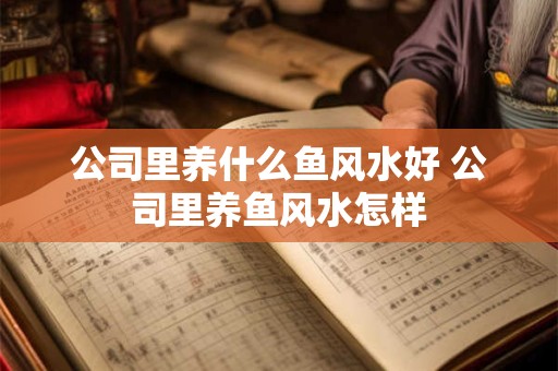 公司里养什么鱼风水好 公司里养鱼风水怎样