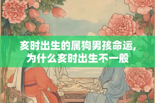 亥时出生的属狗男孩命运,为什么亥时出生不一般