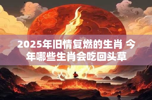 2025年旧情复燃的生肖 今年哪些生肖会吃回头草