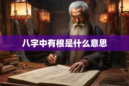 八字中有根是什么意思