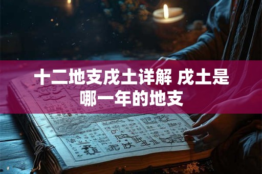 十二地支戌土详解 戌土是哪一年的地支