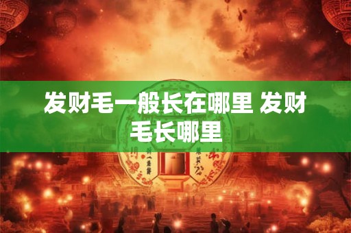 发财毛一般长在哪里 发财毛长哪里