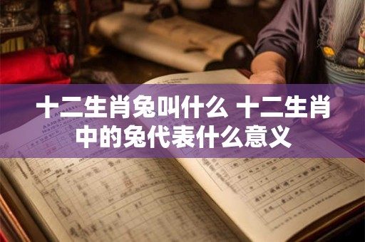 十二生肖兔叫什么 十二生肖中的兔代表什么意义