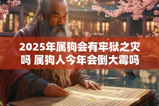 2025年属狗会有牢狱之灾吗 属狗人今年会倒大霉吗