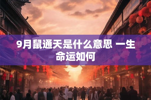9月鼠通天是什么意思 一生命运如何 9月鼠通天是什么意思 一生命运如何
