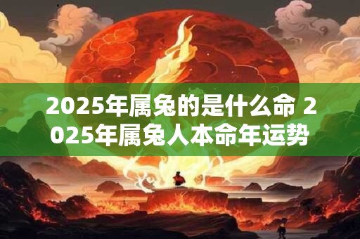 2025年属兔的是什么命 2025年属兔人本命年运势