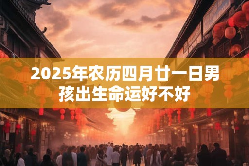 2025年农历四月廿一日男孩出生命运好不好
