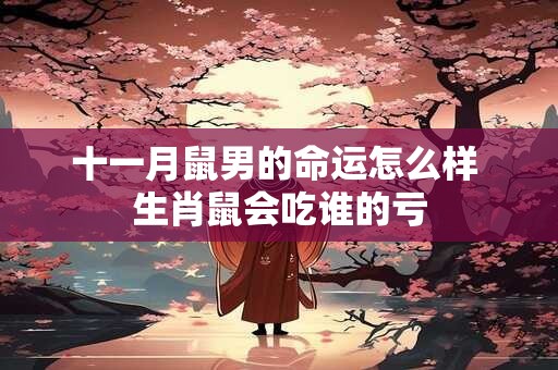 十一月鼠男的命运怎么样 生肖鼠会吃谁的亏