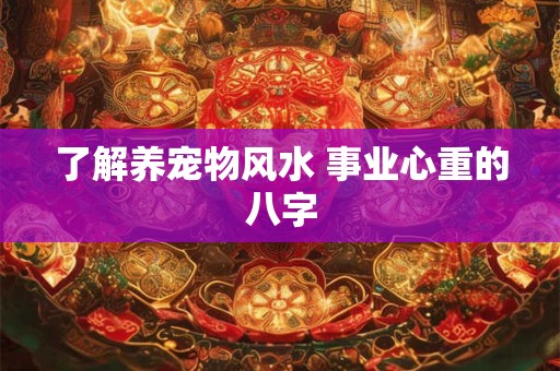 了解养宠物风水 事业心重的八字
