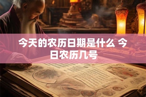 今天的农历日期是什么 今日农历几号